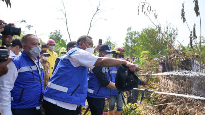 Kementerian LH Segel 50 Perusahaan Sebabkan Karhutla Seluas 27.333 Hektare di Sejumlah Wilayah