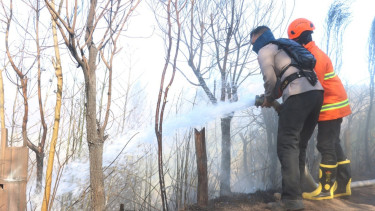 Karhutla TNBTS, Api di Jemplang Mulai Terkendali, 3 Titik Masih Berasap