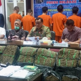 BNN Sumut Sita 141,6 Kg Ganja Jaringan Aceh dan Madina, Lima Pelaku Diamankan