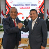 Herindra Pimpin PB ESI, Pembinaan Atlet Esports Diperkuat Berkelanjutan