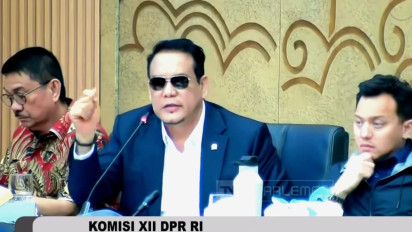 Komisi XII DPR: Kontribusi MIND ID Belum Optimal, Miris Swasta Dominasi Tambang