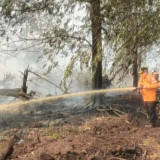Satuan Tugas Karhutla Jambi Uji Coba Zat Khusus Pemadam Api di Lahan Gambut