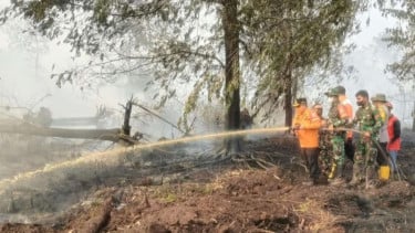 Satuan Tugas Karhutla Jambi Uji Coba Zat Khusus Pemadam Api di Lahan Gambut