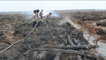 Operasi X-Fire Polda Sumsel Berhasil Padamkan  Karhutla di Teluk Limau