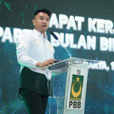 Ambang Batas Parlemen, Ini Respons PBB