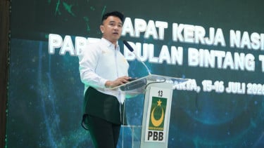 Ambang Batas Parlemen, Ini Respons PBB