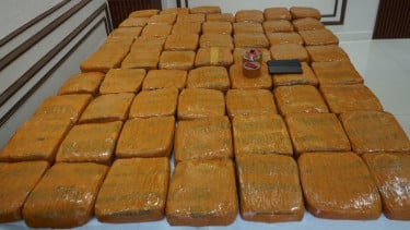 Polda Metro Bongkar Peredaran Ganja 62,5 Kg di Jakarta Barat, Dua Kurir Ditangkap