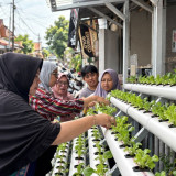 PNM Sulap Lorong Kota Menjadi Sumber Pangan Lewat Program Agro Urban Madani