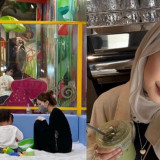 Hanya Berstatus Korban Penyalahgunaan Narkoba, Selebgram Julia Prastini Direkomendasikan Ikuti Rehabilitasi