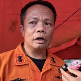 Percepat Temuan Korban KM Virgo Transport 8, Basarnas Sebar Informasi ke Pesisir Kalimantan dan Jawa