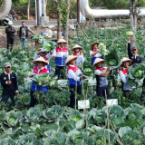 Hari Tani Nasional, Dari Energi Terbarukan, Tumbuh Pangan dan Kemandirian Petani