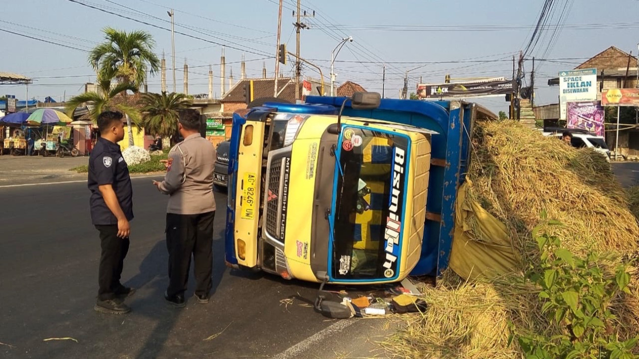 Truk Bermuatan Padi Terguling di Jombang, 13 Pekerja Sawah Dilarikan ke Rumah Sakit
            - galeri foto