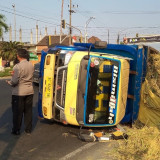 Truk Bermuatan Padi Terguling di Jombang, 13 Pekerja Sawah Dilarikan ke Rumah Sakit
