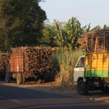 Serapan Tebu Petani Terjaga di Tengah Musim Panen Raya, PG Ngadiredjo Pastikan Proses Giling Berjalan