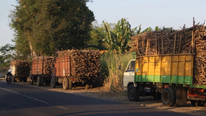 Serapan Tebu Petani Terjaga di Tengah Musim Panen Raya, PG Ngadiredjo Pastikan Proses Giling Berjalan