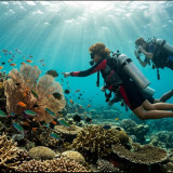 Diving Makin Diminati Generasi Muda, Bukan Sekadar Hobi tapi Jadi Tren Gaya Hidup?