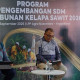 Direktorat Jenderal Perkebunan: Karhutla Tidak Bisa Langsung Dikaitkan dengan Pembukaan Perkebunan Kelapa Sawit