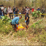 Tak Pulang Sejak 3 Hari Lalu, Lansia di Probolinggo Ditemukan Tak Bernyawa di Lahan Tebu