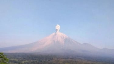 Gunung Semeru Erupsi, Tinggi Letusan Capai 1.300 Meter