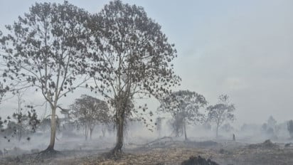Kemenhut Perkuat Pengendalian Karhutla di Kalsel dan Sumsel, Hotspot Nasional ada 331 Titik