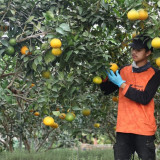 Gandeng Ratusan Petani, Koperasi Pesantren di Bandung Bawa Produk Pertanian Tembus Pasar Modern