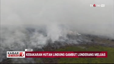 Karhutla TNBS Jambi Mendekati Habitat Harimau Sumatera