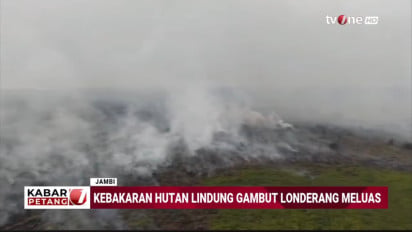 Karhutla TNBS Jambi Mendekati Habitat Harimau Sumatera