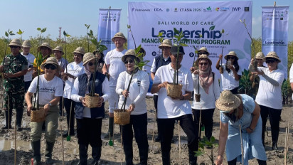 Tak Sekadar Tanam Mangrove, Bali Dorong Blue Carbon Bernilai Ekonomi