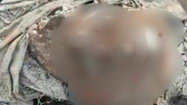 Kerangka Manusia Ditemukan di Bantaran Sungai Citarum Pebayuran, Rambut Panjang Masih Menempel