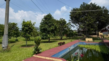 KPK Cek Glamping hingga Kebun Durian-Alpukat 1,5 Hektare Diduga Milik Anggota Polri Yayat Sudrajat di Subang, Ini Penampakannya