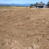 Musim Hujan Mundur, BMKG Beri Peringatan: El Nino Diprediksi Bertahan Sampai Awal 2027