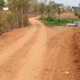 Jalan Akses Dibangun, Pengembangan Tebu Rakyat di Selopamioro Didorong Meluas