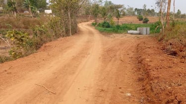 Jalan Akses Dibangun, Pengembangan Tebu Rakyat di Selopamioro Didorong Meluas