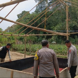 Polres Malang Tertibkan Bekas Arena Sabung Ayam di Poncokusumo, Ini Temuannya