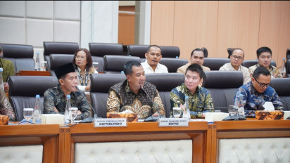 HIPMI Siap Jadi Mitra Pemerintah Perluas Akses Pembiayaan Pengusaha Daerah