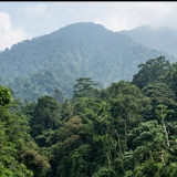 Kawasan Wisata Alam di Bogor Kembali Ditinjau, Ini Temuan dan Evaluasi Soal Lingkungan
