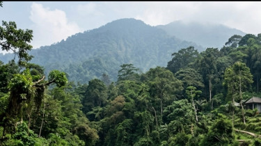 Kawasan Wisata Alam di Bogor Kembali Ditinjau, Ini Temuan dan Evaluasi Soal Lingkungan