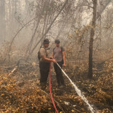 Cegah Api Menyala Kembali, Satgas Karhutla Satbrimob Polda Kalteng Terus Lakukan Pembasahan di Tanjung Taruna