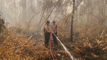 Cegah Api Menyala Kembali, Satgas Karhutla Satbrimob Polda Kalteng Terus Lakukan Pembasahan di Tanjung Taruna