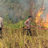 Respons Cepat Brimob Malut: Bersinergi Padamkan Kebakaran Lahan di Desa Tewil