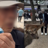 Viral! Turis Indonesia Diduga Kasih Makanan Mirip Plastik ke Rusa di Jepang, Berujung Kepergok Warga Lokal