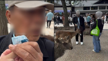 Viral! Turis Indonesia Diduga Kasih Makanan Mirip Plastik ke Rusa di Jepang, Berujung Kepergok Warga Lokal