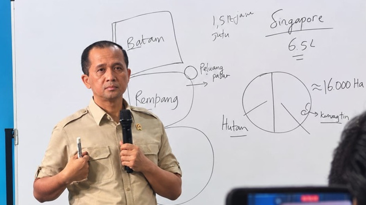 Menteri Transmigrasi Dorong Ekonomi Kawasan, Rempang Jadi Contoh
            - galeri foto