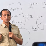Menteri Transmigrasi Dorong Ekonomi Kawasan, Rempang Jadi Contoh