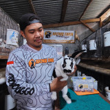 Manfaatkan Bekas Kandang Sapi, Buruh Pabrik di Probolinggo Hasilkan Cuan dari Budidaya Kelinci Hias