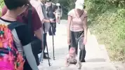 Viral, Bayi 9 Bulan Naik Gunung, Hebohkan Media Sosial hingga Picu Perdebatan