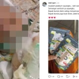 Curhatan Pilu Ariana sebelum Bayi Alena Meninggal Dunia usai Dicekoki Telur Mentah oleh Neneknya: Bunda Nitip ASI untuk Adek