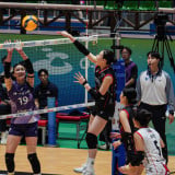 Liga Voli Korea Belum Dimulai, 2 Pemain Asing Rival Megawati Hangestri Sudah Cedera dan Alami Masalah Kesehatan