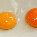 Dokter Ingatkan Bahaya Telur Mentah bagi Bayi dan Anak, Orang Tua Wajib Waspada