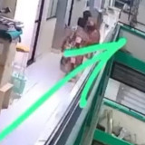 Viral, Anak Kucing Dilempar dari Lantai Lima Rusunawa hingga Mati di Probolinggo